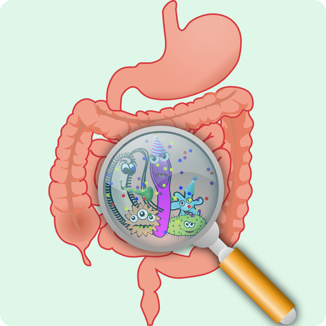 Läckande tarm – vad är det?
